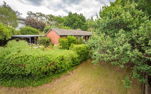 17 Quandong Street, O'Connor ACT 2602