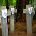 Cmentarz w Ościsłowie (23) • <a style="font-size:0.8em;" href="http://www.flickr.com/photos/115791104@N04/13979792472/" target="_blank">View on Flickr</a>