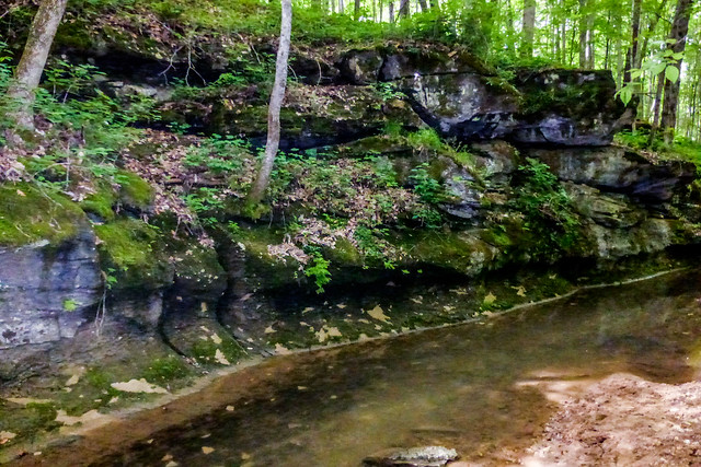 McCormick's Creek State Park - Wolf Cave Nature Preserve - Litten Creek May 24, 2014