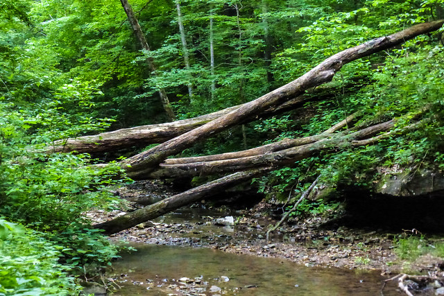 McCormick's Creek State Park - Wolf Cave Nature Preserve - Litten Creek - May 24, 2014