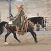Traditionale Arabian Riding ACh 5.pl. Sonja Dries & Pajan GER 3192