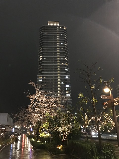 モザイクの夜桜とザ・パークハウス神戸ハー...