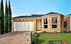 16 Neddletail Crescent, South Morang VIC