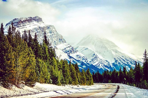 Mountain Road #kimberlyreneephotography #mountainroad #road #roads #backroads #mountainroads #mountainview #mountaingram #mountainair #mountains #mountainporn #mountaindrive #mountains🗻 #mountainlover #canada #canadianrockies #canada #canadian