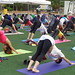 Spring Yoga Festival'14 • <a style="font-size:0.8em;" href="http://www.flickr.com/photos/95967098@N05/14240690043/" target="_blank">View on Flickr</a>