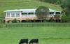 281 Alison Rd, Dungog NSW