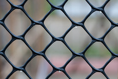 Anglų lietuvių žodynas. Žodis fence line reiškia tvoros linija lietuviškai.