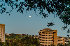 Moon over UH