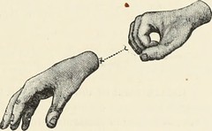 Anglų lietuvių žodynas. Žodis american sign language reiškia amerikos gestų kalba lietuviškai.
