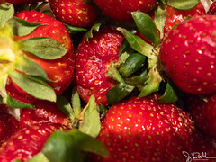 74/365 - Strawberries