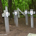 Cmentarz w Ościsłowie (22) • <a style="font-size:0.8em;" href="http://www.flickr.com/photos/115791104@N04/13983426894/" target="_blank">View on Flickr</a>