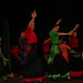 II Festival de Flamenco y Sevillanas • <a style="font-size:0.8em;" href="http://www.flickr.com/photos/95967098@N05/14411509986/" target="_blank">View on Flickr</a>