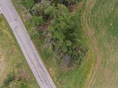 20140712-DJI00386.jpg • <a style="font-size:0.8em;" href="http://www.flickr.com/photos/65051383@N05/14639467115/" target="_blank">View on Flickr</a>