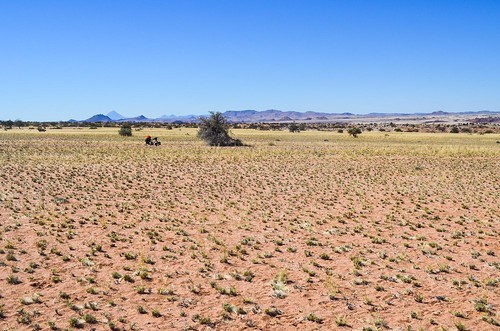 Desertic Damaraland