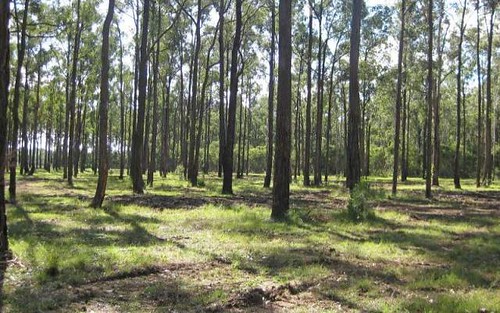 Lot 1 off Lodge Road, Lovedale NSW
