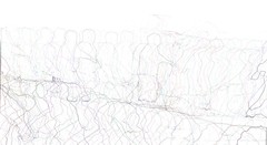 this large person captures outside that magenta figure