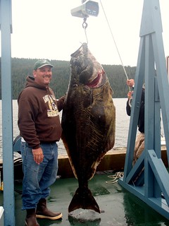 Alaska Salmon Fishing Lodge - Luxury 34