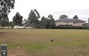 Lot i61, 54 Angophora Drive, Rothbury NSW