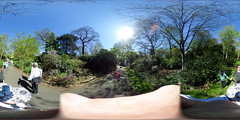 Kew Gardens 360