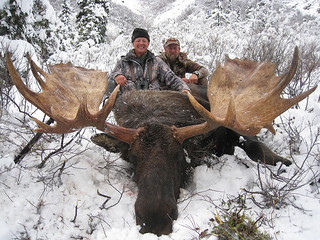 Alaska Dall Sheep Hunt & Moose Hunt 15