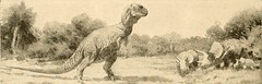 Anglų lietuvių žodynas. Žodis ornithischian dinosaur reiškia ornithischian dinozauras lietuviškai.