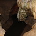 Remouchamps Belgium Карстовая пещера Les Grottes de Remouchamps Ремушам Льеж Валлония Бельгия 20.06.2014 (29)