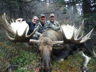 Alaska Dall Sheep Hunt & Moose Hunt 9