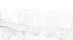 this one model observes inside our one outline