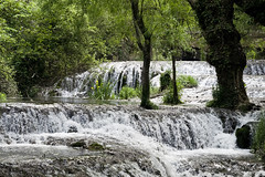Parque Natural del Monasterio de Piedra, Los Vadillos