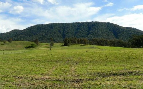 Lot 4, 1062 Moores Road, Dungog NSW