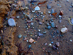 Rainbow Rocks Leaves Sand • <a style="font-size:0.8em;" href="http://www.flickr.com/photos/34843984@N07/15238306037/" target="_blank">View on Flickr</a>