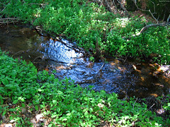 Stream runs West • <a style="font-size:0.8em;" href="http://www.flickr.com/photos/34843984@N07/15422991112/" target="_blank">View on Flickr</a>