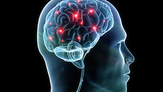 Anglų lietuvių žodynas. Žodis brain science reiškia smegenų mokslas lietuviškai.