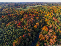 Fall Colours from Above 15 • <a style="font-size:0.8em;" href="http://www.flickr.com/photos/65051383@N05/15397274595/" target="_blank">View on Flickr</a>