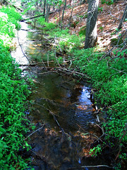 Stream Conquers Obstacles • <a style="font-size:0.8em;" href="http://www.flickr.com/photos/34843984@N07/15236660000/" target="_blank">View on Flickr</a>