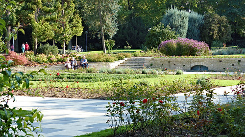 Rosengarten im Mainzer Volkspark