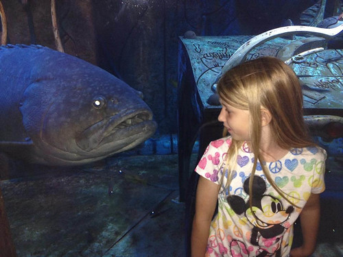 Nora and a queensland grouper. • <a style="font-size:0.8em;" href="http://www.flickr.com/photos/96277117@N00/15352079976/" target="_blank">View on Flickr</a>