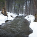 Foggy Stream • <a style="font-size:0.8em;" href="http://www.flickr.com/photos/124671209@N02/33747078901/" target="_blank">View on Flickr</a>