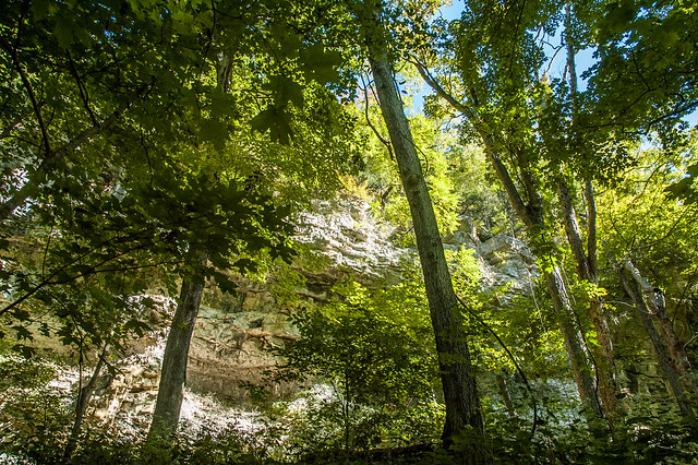 O'Bannon Woods State Park - September 27, 2014