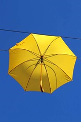 Paraplu's in Lelystad