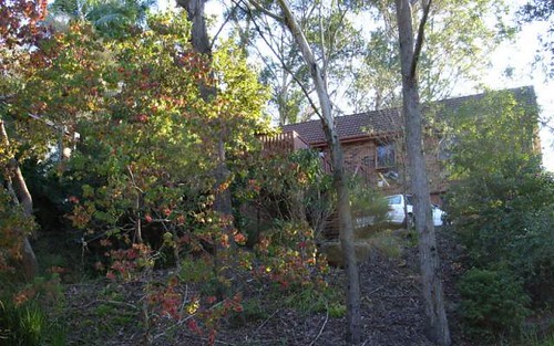 50 York Terrace, Bilgola Plateau NSW