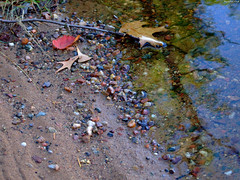 Wet Colored Rocks • <a style="font-size:0.8em;" href="http://www.flickr.com/photos/34843984@N07/15238172720/" target="_blank">View on Flickr</a>