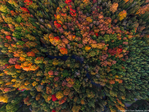 Fall Colours from Above 6 • <a style="font-size:0.8em;" href="http://www.flickr.com/photos/65051383@N05/15210538489/" target="_blank">View on Flickr</a>