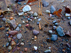 Rainbow Colored Rocks in Sand • <a style="font-size:0.8em;" href="http://www.flickr.com/photos/34843984@N07/15238175210/" target="_blank">View on Flickr</a>