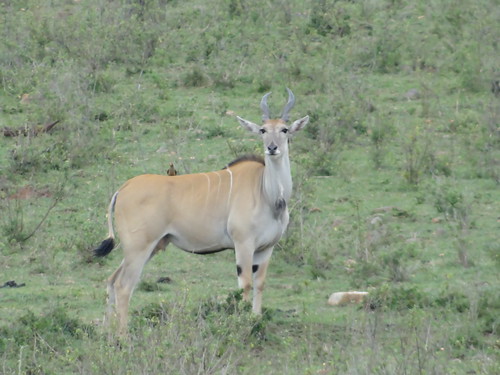 Tanzania & Kenya, September 2014