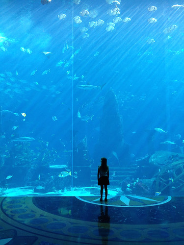 Nora at the aquarium • <a style="font-size:0.8em;" href="http://www.flickr.com/photos/96277117@N00/15374785942/" target="_blank">View on Flickr</a>